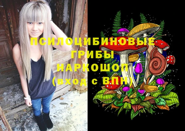 тгк Белокуриха